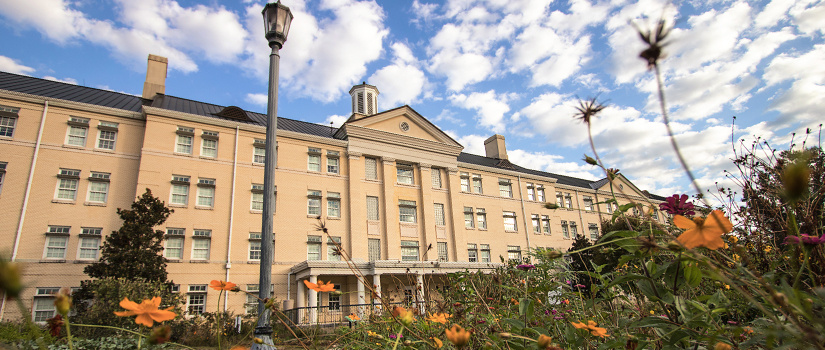 Image of the Green Quad C building from the garden with a blue sky filled with small white clouds.