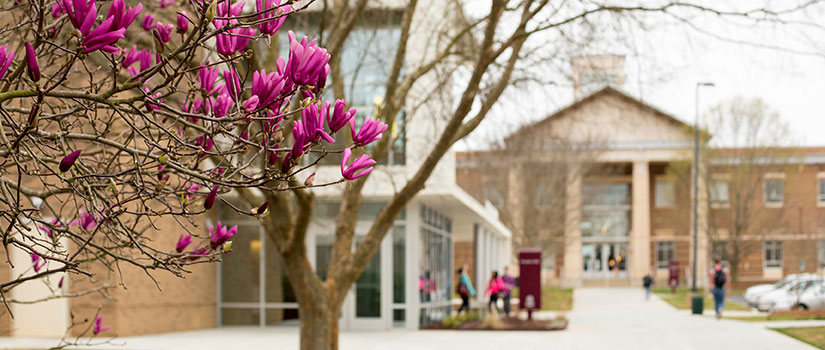 USC Lancaster Campus