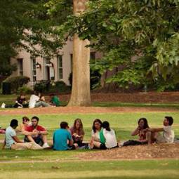 Group of about eight students sitting on the grass on the Horseshoe