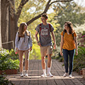 students walking on horseshoe