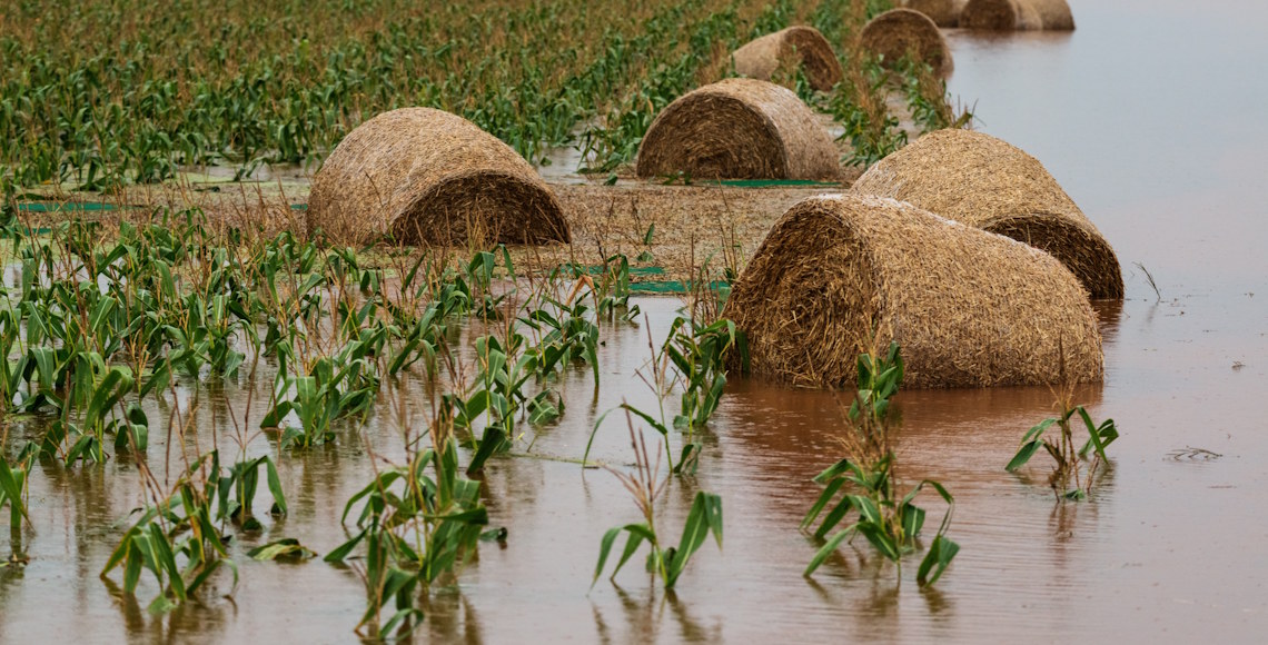 flooded farmland